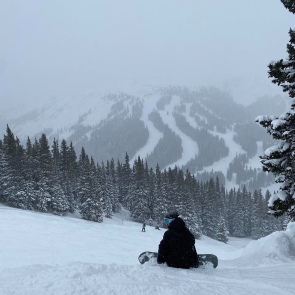 Profile Picture of Cameron Pedersen (@cam23pedersen) on Poshmark