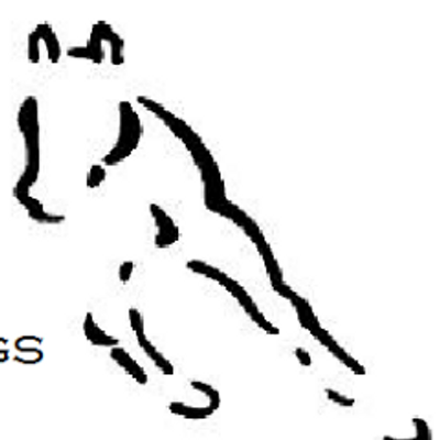 Profile Picture of Matt Harmon (@mm_harmon) on Twitter