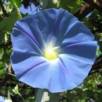 Profile Picture of Mia Jacobson (@mia-jacobson-2) on Quora