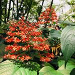 Profile Picture of Brian (@brian.birche) on Instagram