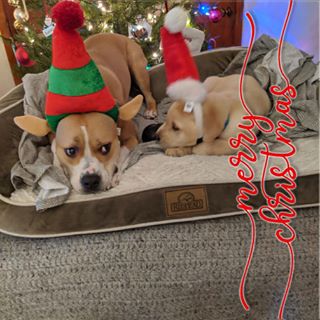 Profile Picture of Kyle Heino (@kyle.heino.56) on Facebook