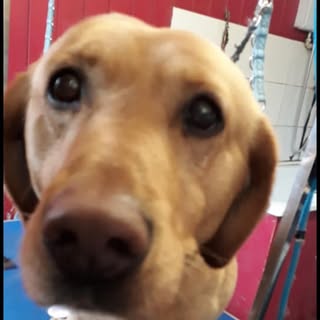 Profile Picture of Louise Lockett (@l.lockett) on Instagram