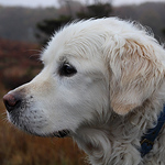 Profile Picture of James Willis (@famgrasp) on Flickr