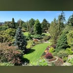 Profile Picture of Alvaro Ceballos (@alvaro.ceballos.347591) on Facebook