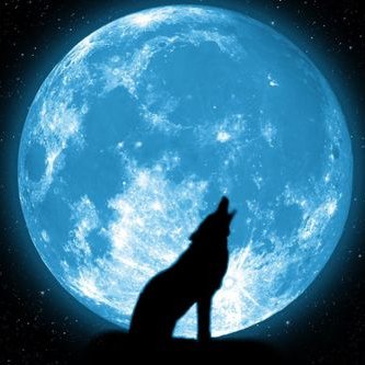 Profile Picture of Paula McCullough (@PaulaMcCullou20) on Twitter