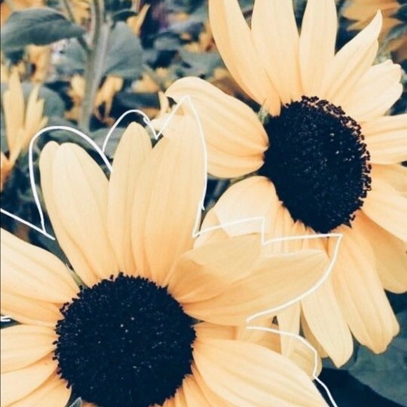 Profile Picture of Mackenzie Hollister (@kenzie1507) on Poshmark