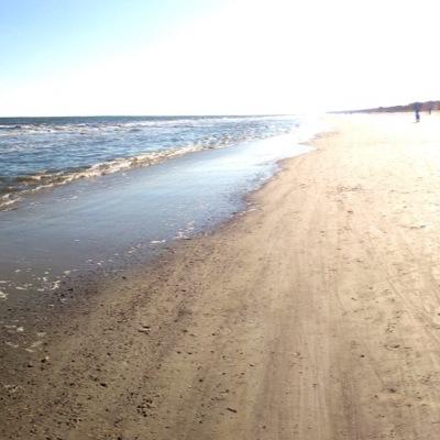 Profile Picture of Josh Sugarman (@bobmcge20477367) on Twitter