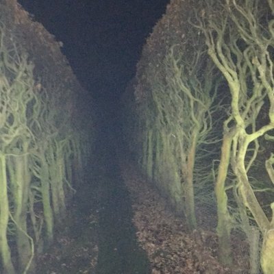 Profile Picture of Tom Barkley (@tom_barkley) on Twitter