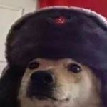 Profile Picture of Kurtis🐊 (@lucas._.lopez__) on Instagram