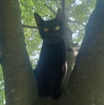 Profile Picture of Clay Andree (@clay.andree.545) on Facebook