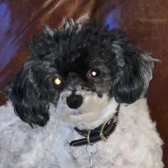 Profile Picture of Jeffrey Moffett (@jeffrey_moffett) on Poshmark