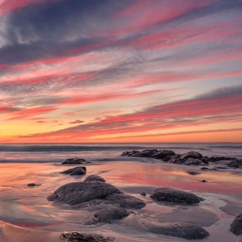 Profile Picture of piperfowler (@piperfowler) on Tiktok