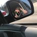 Profile Picture of Corey Abbott (@corey.abbott.737) on Facebook