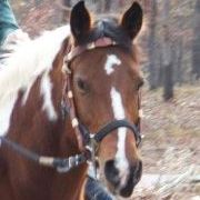 Profile Picture of Kim Loeffler (@gma2twin) on Pinterest