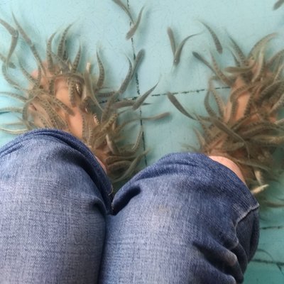 Profile Picture of Phan Nguyên Thanh Vân (@PhanNguynThan11) on Twitter