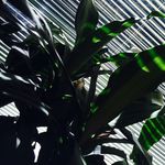 l a r r y  a f 👐 - Instagram Profile Picture of l a r r y  a f 👐 (@wakeupharold) on Instagram