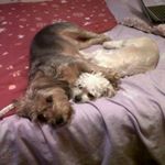 Profile Picture of Lynn scullion (@famlly7) on Instagram