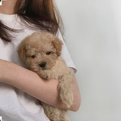 Profile Picture of Avin.yeon_ (@avin.yeon_8665) on Youtube