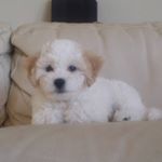 Profile Picture of Vincent Jung (@vincent_jung_) on Instagram