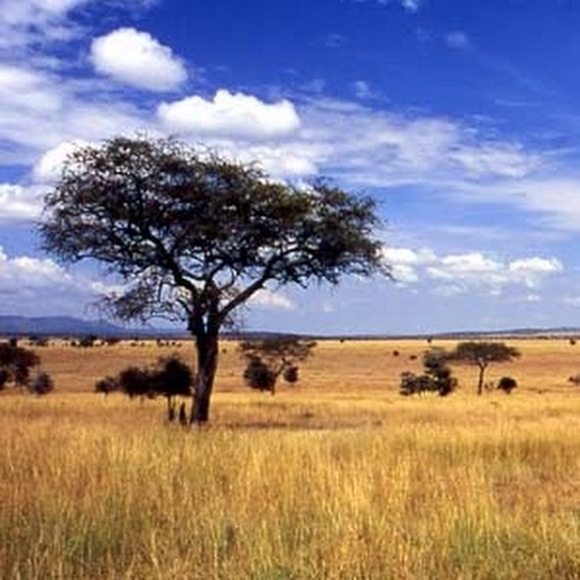 Profile Picture of Hilary Bruner (@hilz9) on Poshmark