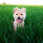 Profile Picture of Katarzyna Batóg (@katarzyna.batuk) on Facebook