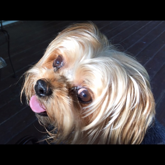 Profile Picture of Teresa Carwile (@tfcrn) on Poshmark