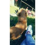 Profile Picture of Sharon Romero (@sharon.romero.984786) on Instagram