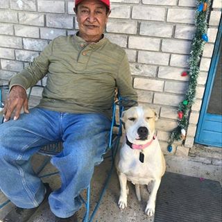 Profile Picture of Teodulo Rodriguez (@teodulo.rodriguez.522) on Facebook