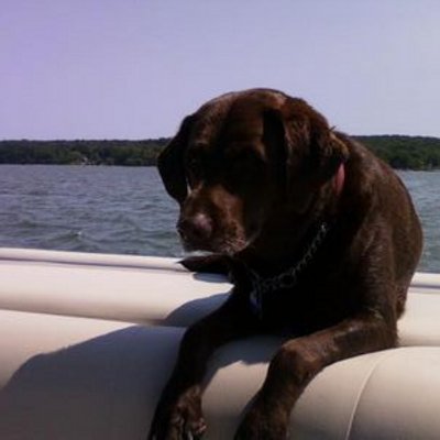 Profile Picture of Bill Von Elm (@@ElmBill) on Twitter