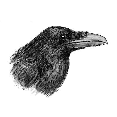 Profile Picture of Jakob Schwarzer Rabe (@views_of_shrink) on Twitter