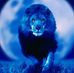 Profile Picture of Steve Beeman (@steve.beeman.1690) on Facebook