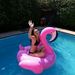 Profile Picture of Joyce Seabrook (@joyceeseabrook) on Pinterest