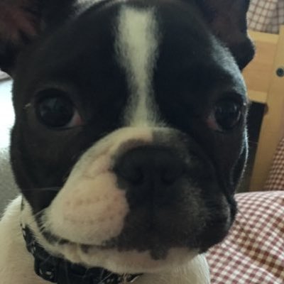 Profile Picture of JamesDerham (@JamesDerham1789) on Twitter