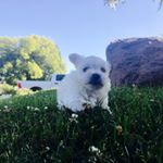 Profile Picture of Ruby Aguilera (@rubyaguilera807) on Instagram