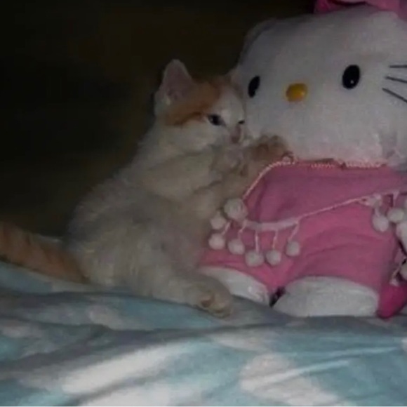 Profile Picture of Marcus Crowder (@marcuscrowder40) on Poshmark