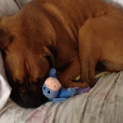 Profile Picture of Lisa McAnn (@McAnnMc) on Twitter
