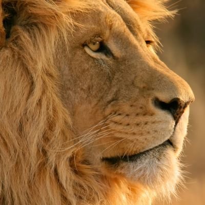 Profile Picture of Marc Hooks (@MarcHooks) on Twitter