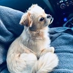 Profile Picture of Nora James (@noragami4532) on Instagram