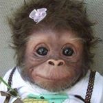 Profile Picture of lilleba karin larsen (@lillebakarinlarsen) on Instagram