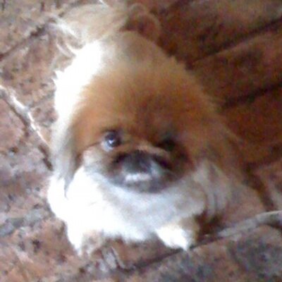 Profile Picture of Colin Harper (@ColinKZN) on Twitter