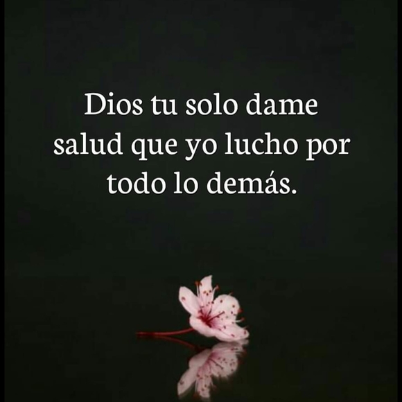 Profile Picture of Segundo Palchizaca (@segundo429) on Poshmark