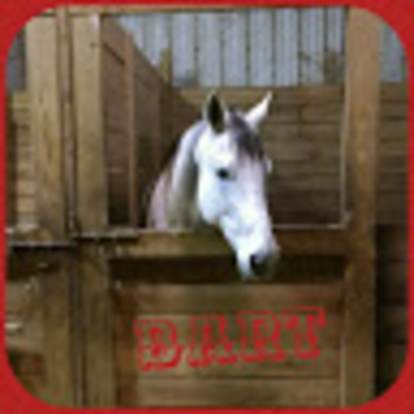 Profile Picture of Leigh Curtis-chapman (@krquarterhorses) on Poshmark