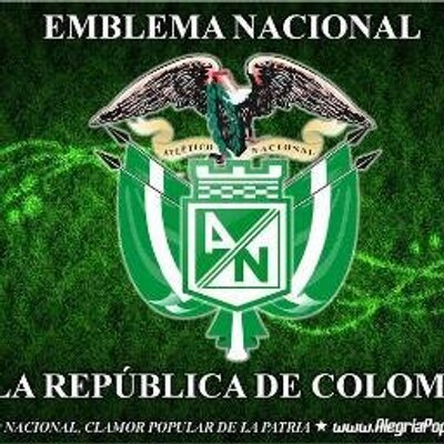 Profile Picture of Helio Ramos (@helioramos16) on Twitter