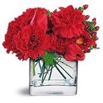 Profile Picture of Ronald Meyer (@ronald_kutt) on Instagram