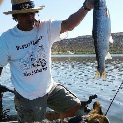 Profile Picture of Bill Mudd (@PhillipSpeer1) on Twitter