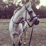 Profile Picture of Tiffany Holland (@ray_maisy_louie) on Instagram