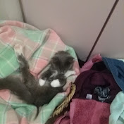 Profile Picture of Jasmine Jenkins (@jasminejenkins7319) on Youtube