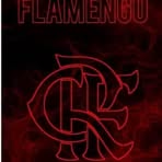 Profile Picture of Ronaldo Paim (@Ronaldo-Paim) on Facebook