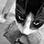 Profile Picture of Jeff Thies (@jeffthies) on Flickr