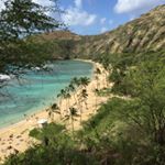 Profile Picture of Stuart Vaughan (@stuart.vaughan) on Instagram